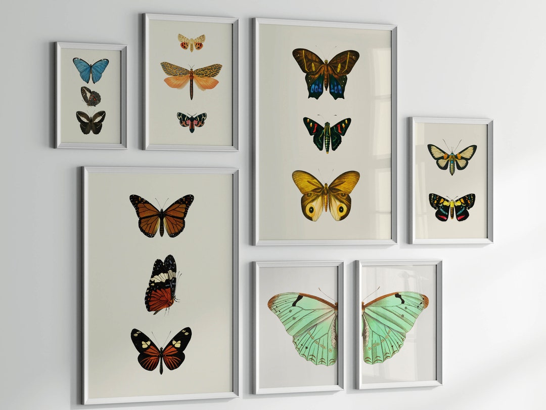 Vintage Butterfly Prints Set: Eclectic Gallery Wall Art (PRINTABLE) - Etsy