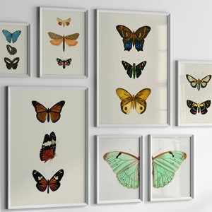 Butterfly Prints Set of 7 - Butterfly Wall Art, Butterfly Wall Art, Eclectic Gallery Wall Art, Farmhouse Decor, Living Room Decor, PRINTABLE