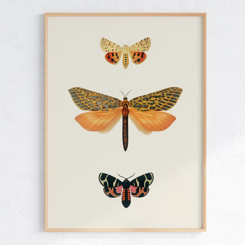 Vintage Wall Art Prints Set of 9: Eclectic Gallery Decor (digital ...