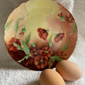 May include: A decorative plate with a floral design featuring red poppies and green leaves. The plate has a scalloped edge and a yellow and brown color scheme. Two brown eggs are next to the plate.