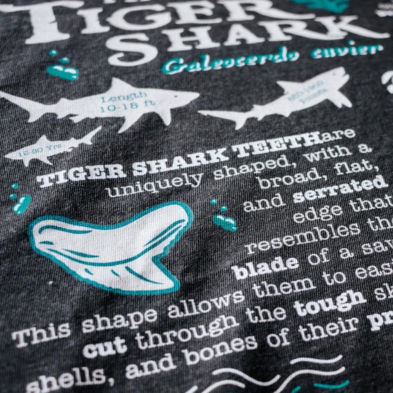 Retro Tiger Shark Tshirt | Vintage 90s Y2K Oceancore Sea