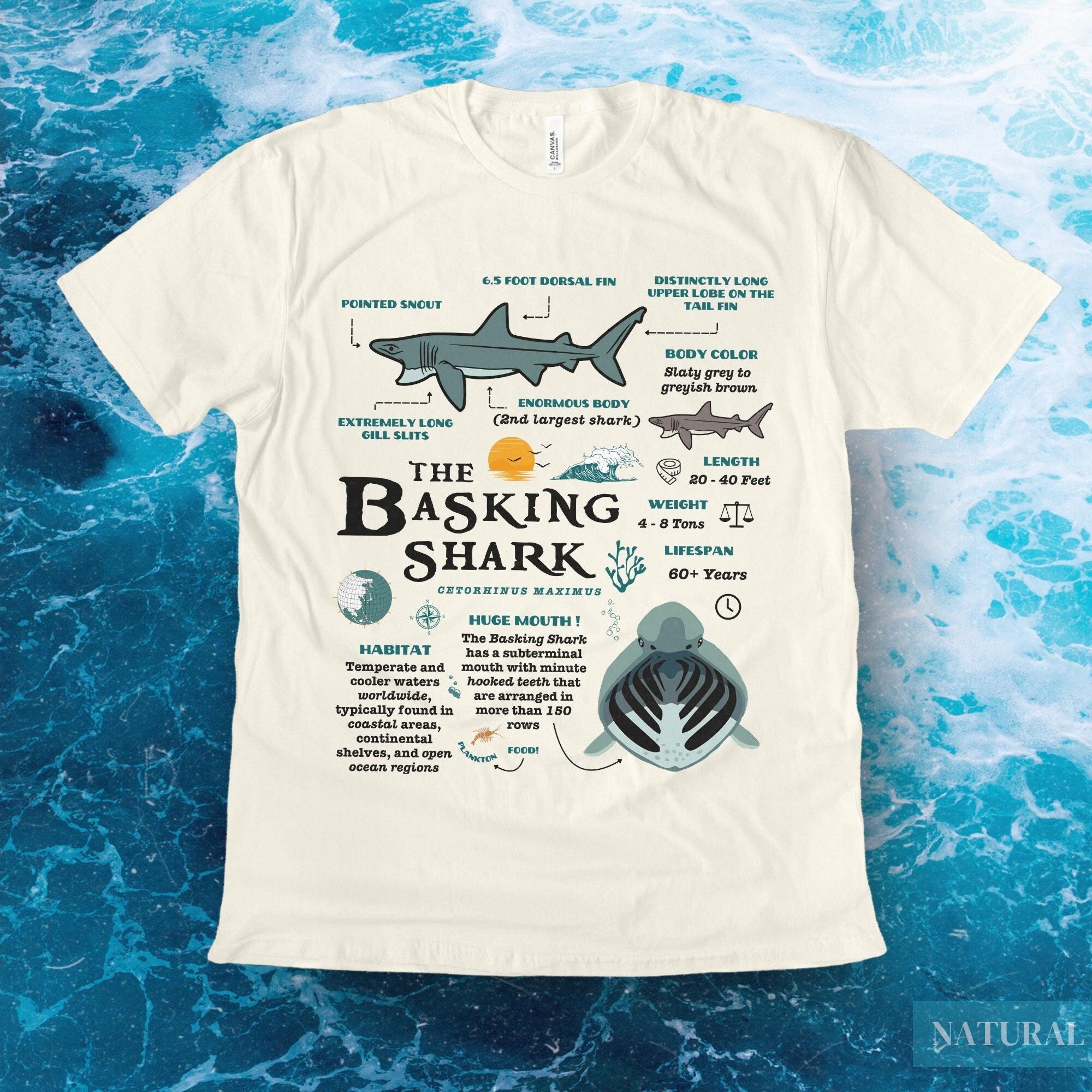 Basking Shark© T-Shirt | Retro Wildlife Collection | Vintage 90s Y2K Oceancore Graphic TShirt, Trendy Fun Animal Anatomy Tee, Marine Biology