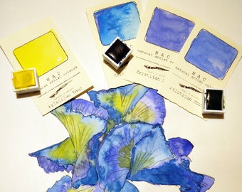 6 colors | The Power of the Iris | 6 natural watercolors | between yellow and blue
