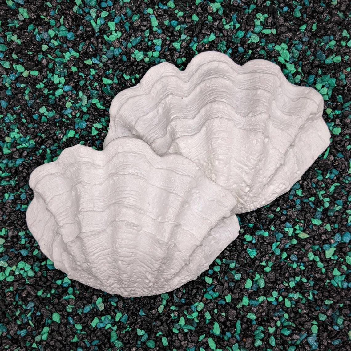 Clam Shell Set - Etsy