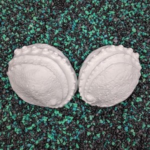 Abalone Shell Set