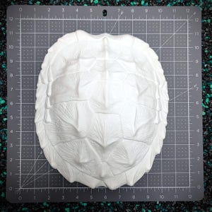 May include: A white, textured turtle shell replica. The shell is oval-shaped with detailed, raised patterns mimicking the natural structure of a turtle's shell. The shell is approximately 25 cm wide and 30 cm long.