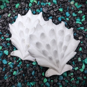 May include: Two white ceramic seashells with a textured, spiky design. The shells are arranged on a bed of black and teal pebbles.
