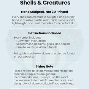 Giant Clam Shell Set - Etsy