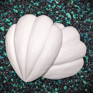 Large Cartoon Shell Set