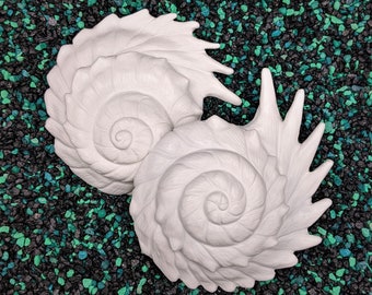 Horned Shell Set