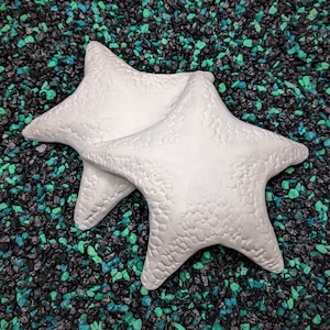 Starfish Shell Set