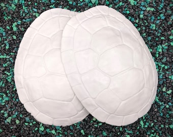Large Turtle Shell