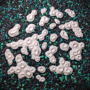 May include: A collection of white, textured, 3D printed craters, resembling a lunar landscape, scattered on a bed of black and teal gravel.