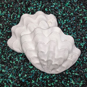 Deep Sea Clam Shell Set