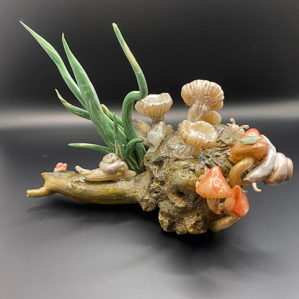 Mushroom and snail sculpture on wood with sculpted air plant