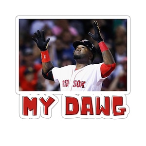 May include: A sticker featuring a baseball player in a Red Sox uniform with arms raised. The text "MY DAWG" is in red letters with a white outline. The player is wearing a black helmet and gloves.