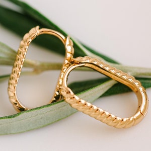 May include: A pair of gold hoop earrings with a twisted rope design. The earrings are on a green leaf.