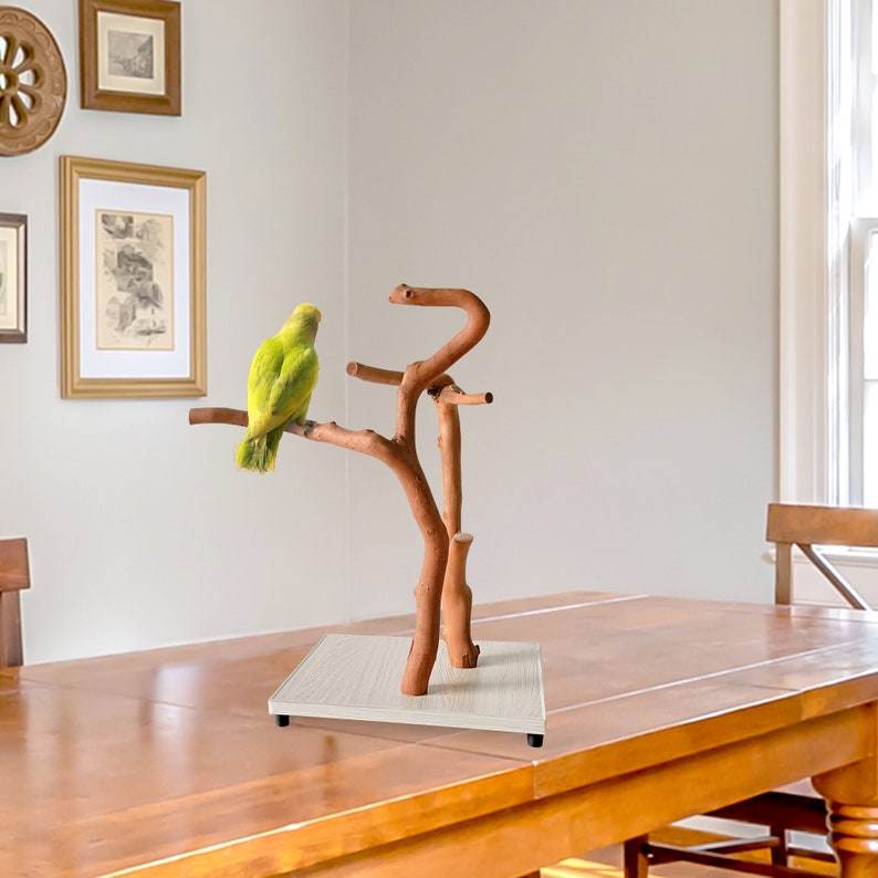 Parrot Stand, Natural Bird Perches, Parrot Perches, Parrot Playstand, Natural Bird Tree, Bird