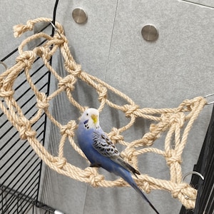 May include: A blue and white parakeet perched on a natural rope bird swing. The swing is made of woven rope and hangs from a black metal cage.