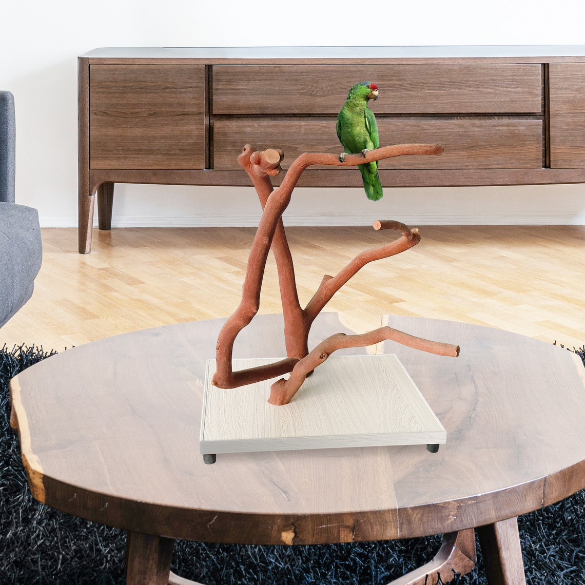 Parrot Stand, Bird Stand, Natural Bird Perches, Parrot Perches, Parrot ...