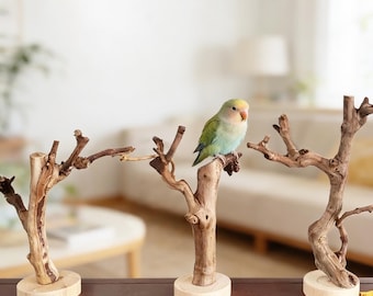 Puede incluir: Tres perchas de madera natural para pájaros con un pequeño pájaro colorido posado en una de ellas. Las perchas están hechas de ramas unidas a bases redondas de madera. El pájaro tiene plumas verdes, azules y amarillas.
