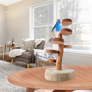 Natural Bird Perches, Parrot Perches, Parrot Stand, Parrot Playstand, Bird Perch with Multiple Platforms