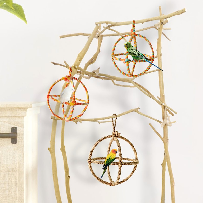 Natural Bird Swing Parrot Hanging Swing 3 Ring Parrot Orbit Etsy