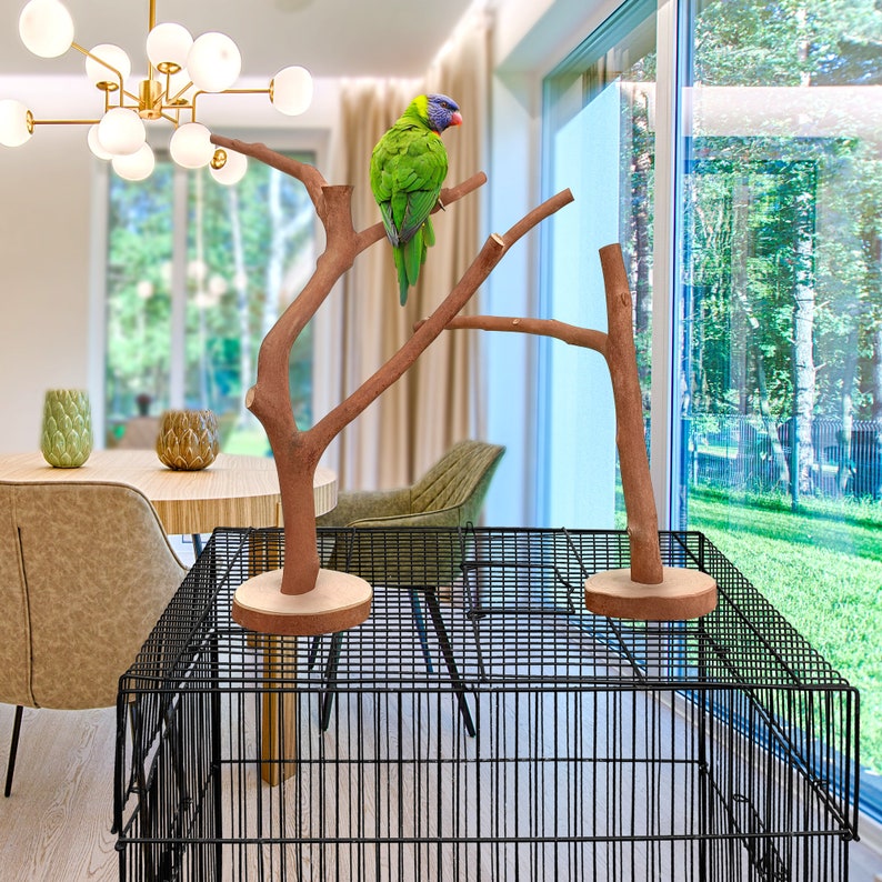 Parrot Stand, Natural Bird Perches, Bird Cage Perches, Parrot Perches