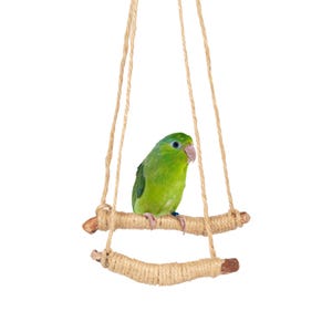 Natural Bird Swing, Parrot Hanging Swing, Colorful Parrot Swing Perch, Bird Ring Swing, Bird Toys, Bird Cage Accessories
