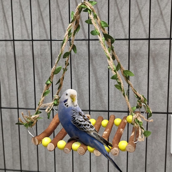 Parrot Swing, Bird Swing, Natural Wooden Bird Swing, Parrot Bridge