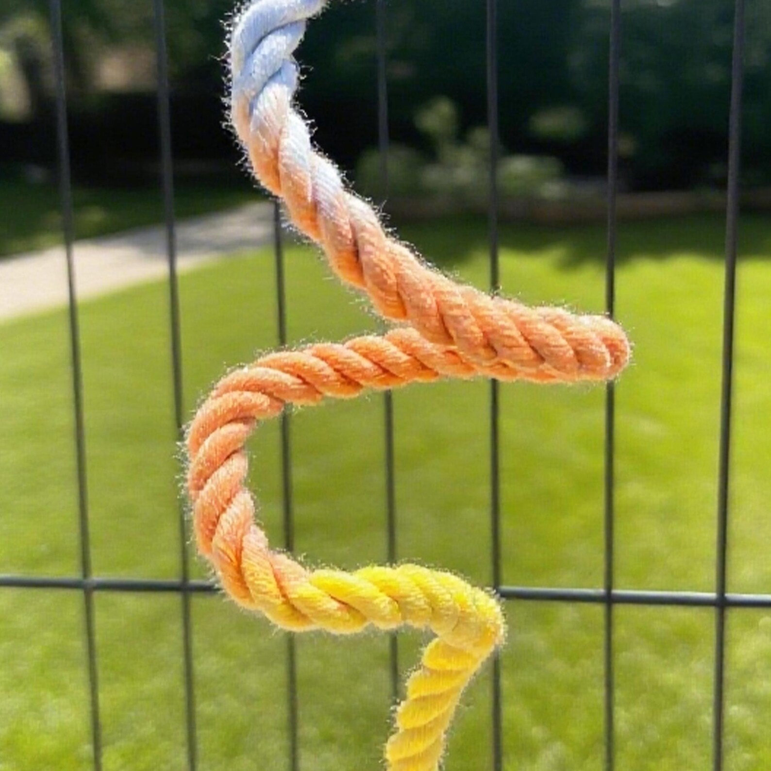 Illustration of Hangable Rope Toys For Parrots Stability