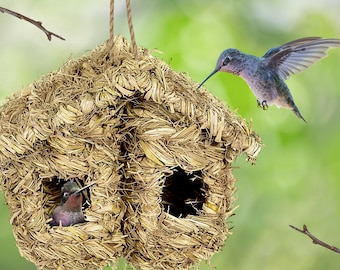Dry Grass Hummingbird Nest, Double Hole Hummingbird Nest, Hand Woven Hummingbird Nest, Bird House for Hummingbird