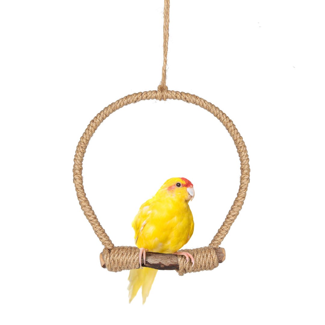 Picture of Jute Rope Parrot Swing, Bird Perch, Cage Climbing Toy - Etsy