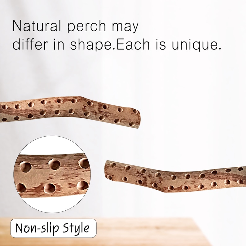 Natural Bird Perches, Bird Cage Perch, Bird Perches, Parrot Perches