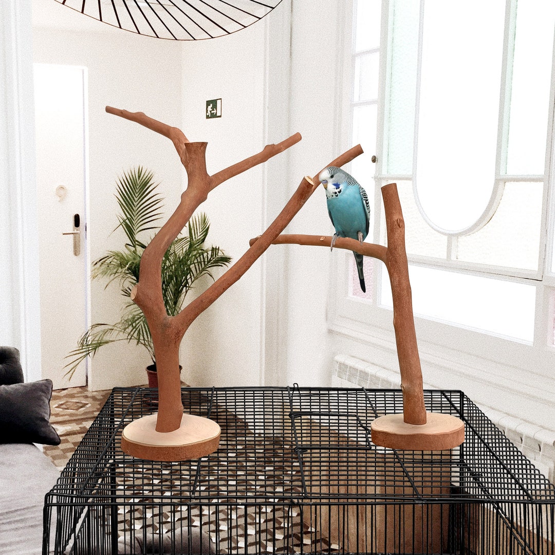 Parrot Stand Natural Bird Perches Bird Cage Perches Parrot Etsy