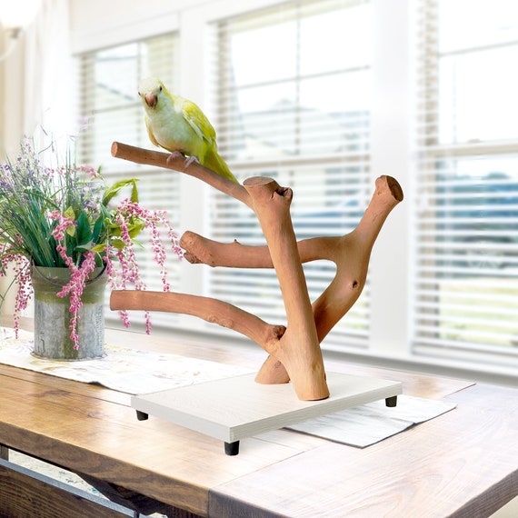 Natural Bird Perches, Parrot Perches, Parrot Stand, Parrot