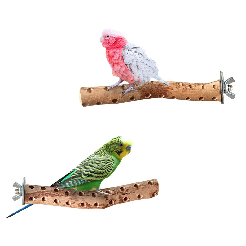 Natural Bird Perches, Bird Cage Perch, Bird Perches, Parrot Perches, Cage Mounted Perch, Single