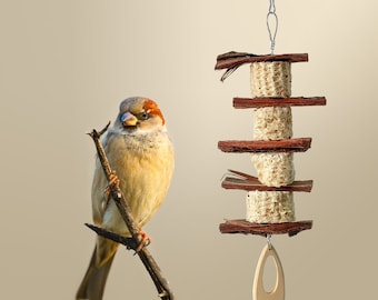 Natural Corncob Bird Chew Toy, Parrot Cage Bite Toy