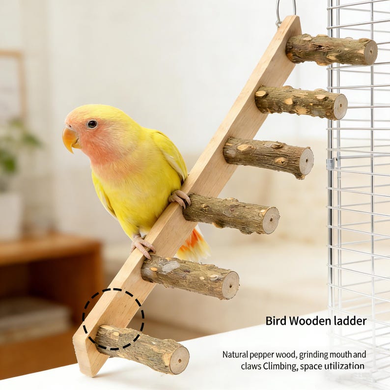 Natural Pepper Wood Bird Ladder | Parrot Climbing Perch |chew Toy ...