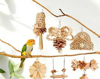 Boho Seagrass Parrot Foraging Toys – Pinecone Bird Shredders