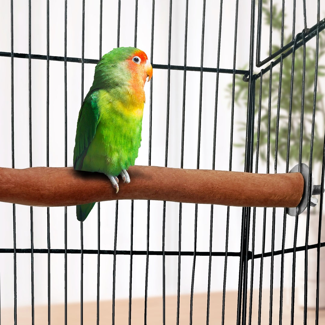Parrot Perches, Natural Bird Perches, Single Perch, Bird Cage Perch, Bird Perches, Cage Mounted