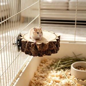 May include: A small light brown hamster sits on a circular wooden platform with rough bark edges. The platform is attached to a white metal wire cage wall with a silver metal bracket, bolt, and wing nut hardware for secure mounting.