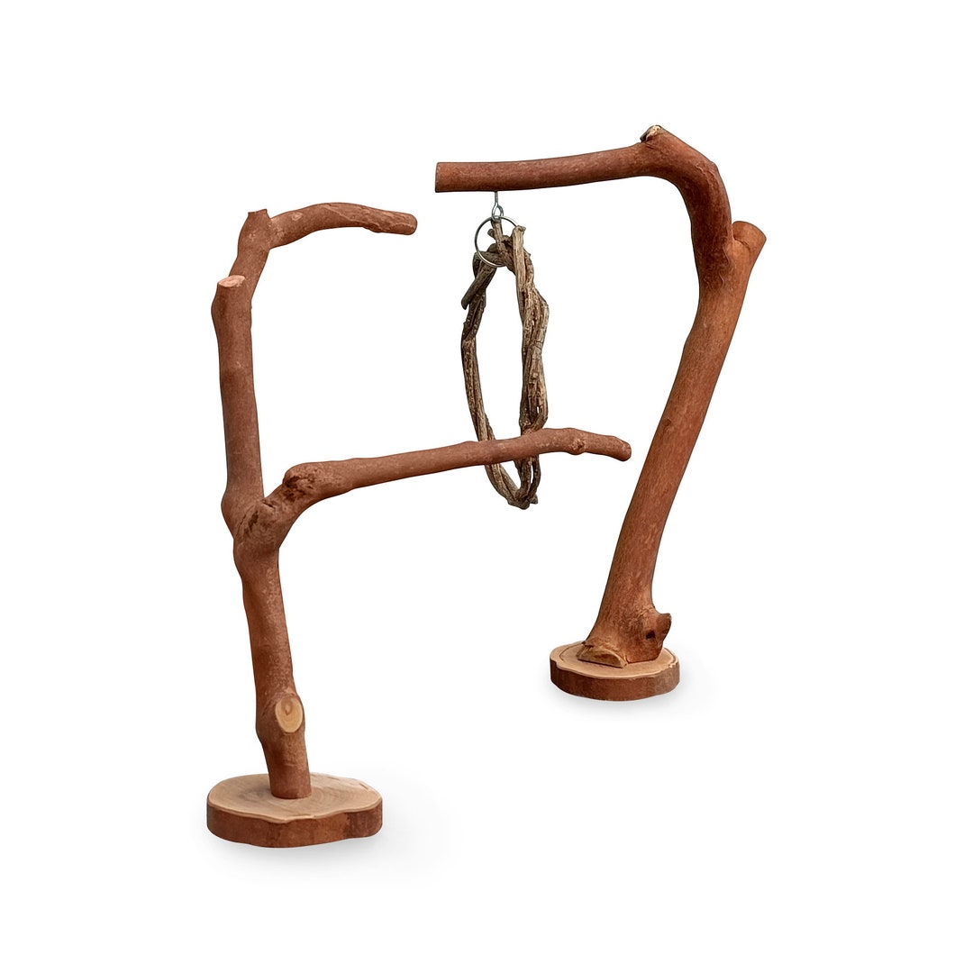 Natural Bird Perches Bird Cage Perches Parrot Perches Etsy