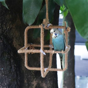 Natural Bird Swing, Parrot Swing Perch, Bird Ring Swing,  Parrot Hanging Swing, Bird Toys, Bird Cage Accessories