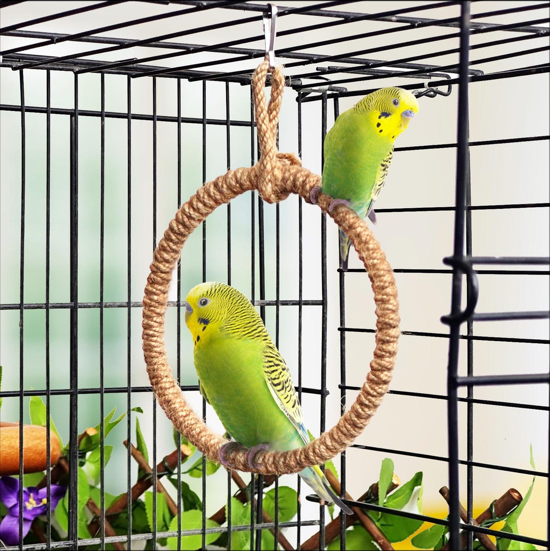 Parrot Rope Swing, Bird Cage Perch, Climbing Toy - Etsy