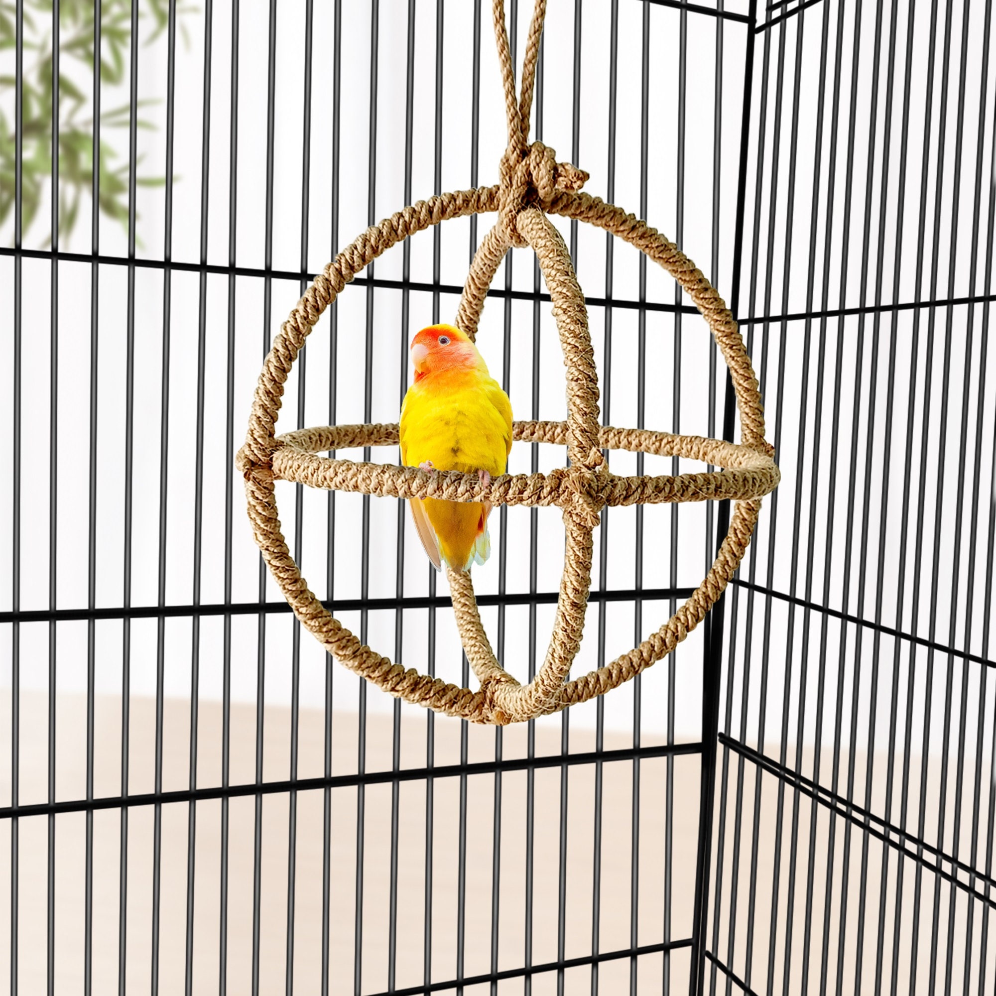 Natural Bird Swing, Parrot Hanging Swing, 3 Ring Parrot Orbit Swing ...