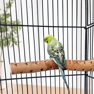 Natural Bird Perches, Bird Cage Perch, Bird Perches, Parrot Perches, Cage Mounted Perch, Single Perch, Bird Cage Accessories