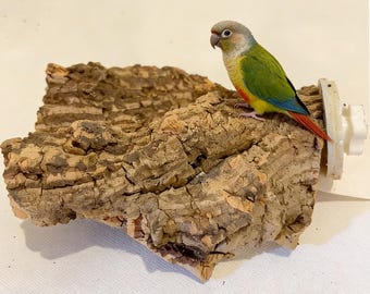 May include: A natural cork perch for birds, featuring a textured, brown surface. A colorful parrot with green, yellow, red, and blue plumage perches on the cork. A white plastic fixture is attached to the side of the cork.