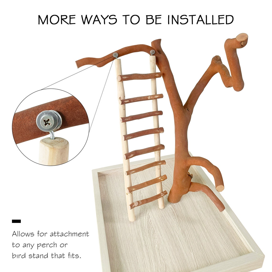 thumbnail interactive-video image 1 of Prevue Pet Products Wood Corner Shelf Platform For Bird Cages - 7x7 Inch Laddered Perch 1 of 11
