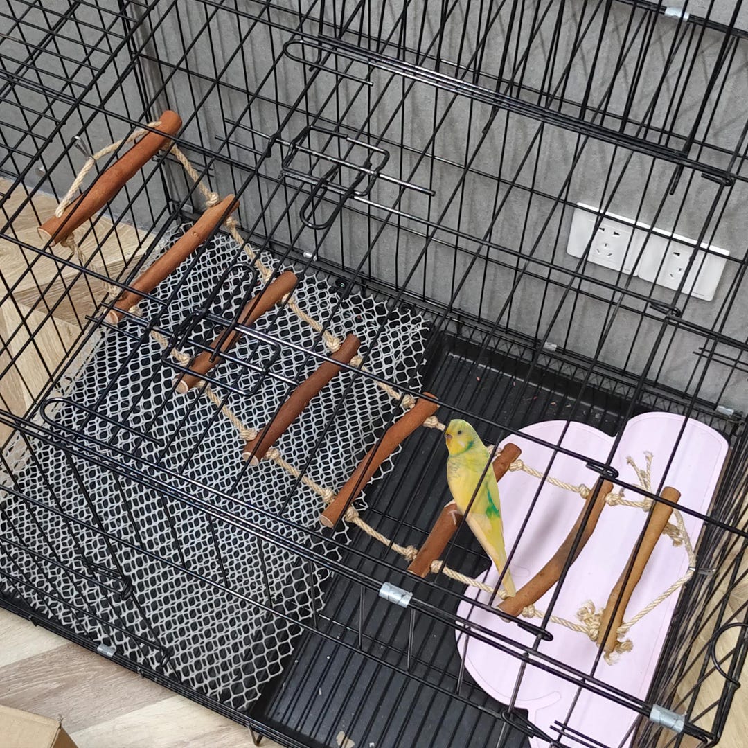Gallery Detail: Natural Bird Ladder Bird Rope Ladder Bird Ladder Bridge Climbing